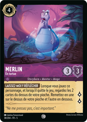 Merlin-Turtle-5-38FR.png