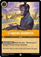 29/204·EN·3 Cleansing Rainwater