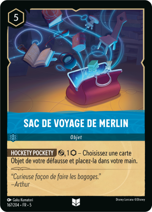 Merlin'sCarpetbag-5-167FR.png