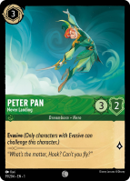 91/204·EN·1 Peter Pan - Never Landing